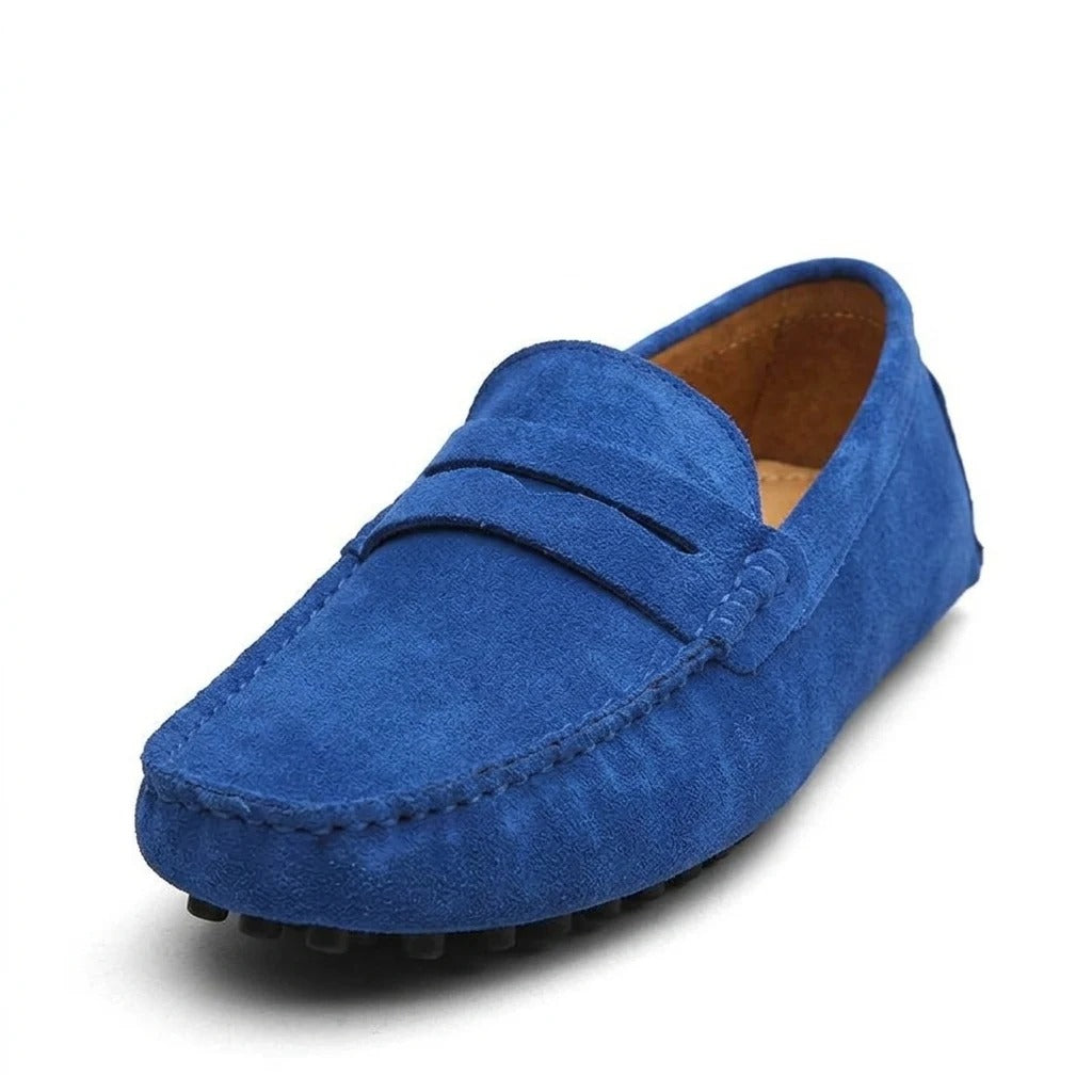Paseo Azul eléctrico - trasera